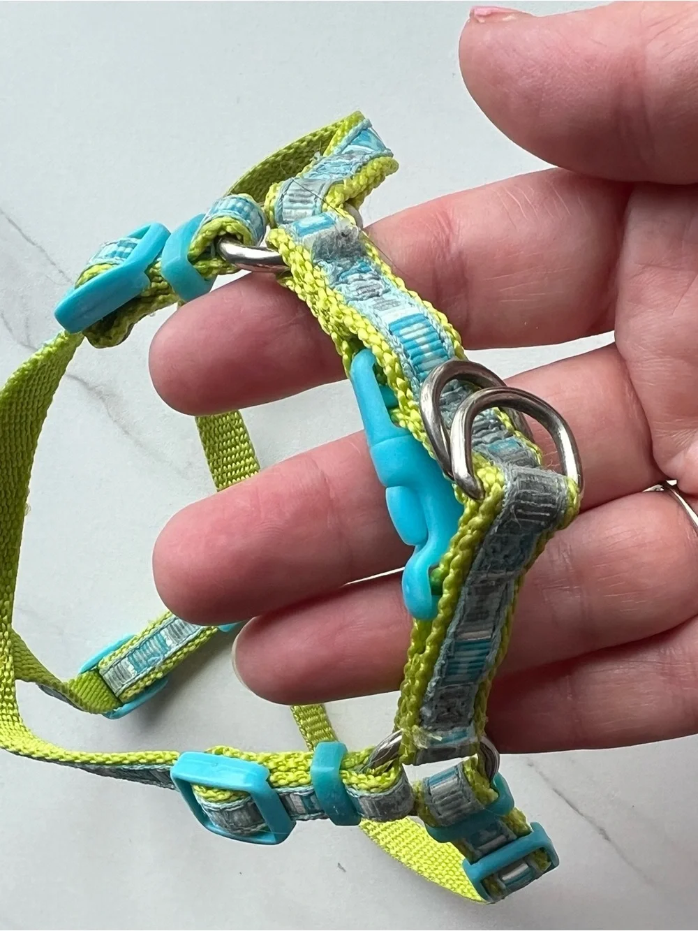 Adjustable Dogs Harness in Lime Green and Teal
